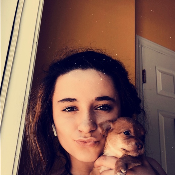 Meet your Posher, Ivy - Picture 1 of 1